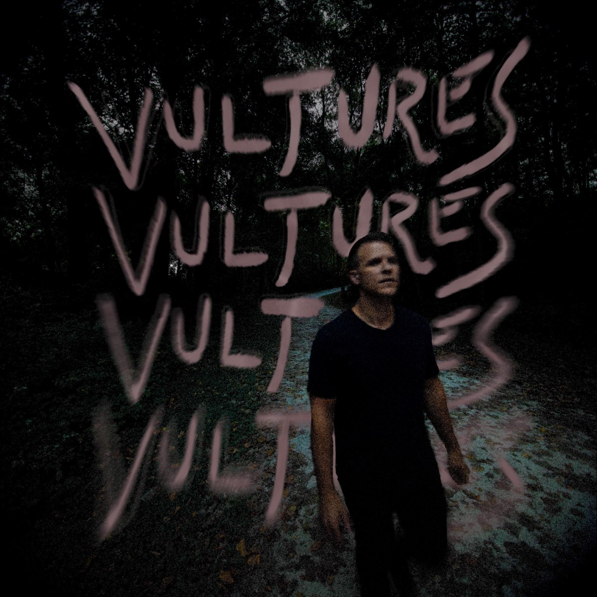 ‎Vultures Album by Stephen Abram Apple Music