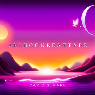 #Pluggnbeattape