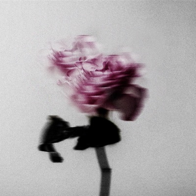 You're So Pretty - Single