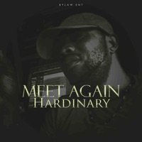 Meet Again - Single - Hardinary