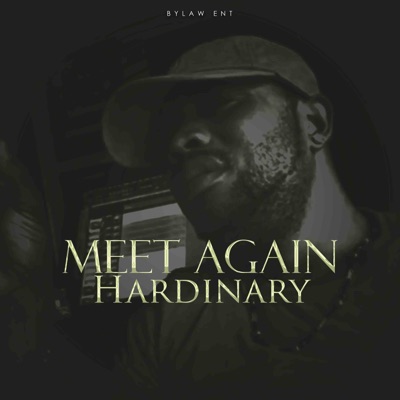 Meet Again - Single