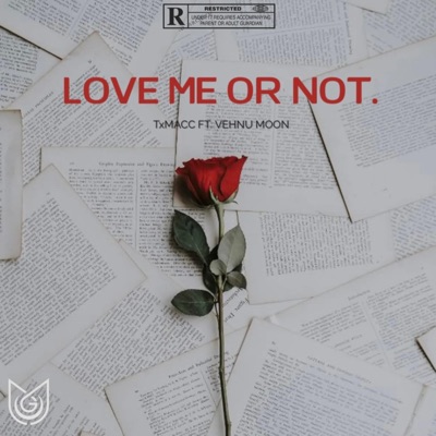 Love Me Or Not (feat. Vehnu Moon) - Single