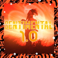 Sentimental 1.0 - Single - DJ LeoN Original