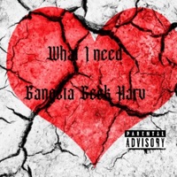 What I Need - Single - Gangsta Geek Harv