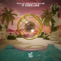 It Goes Like - Single - Nicolas Haelg & Sam Halabi