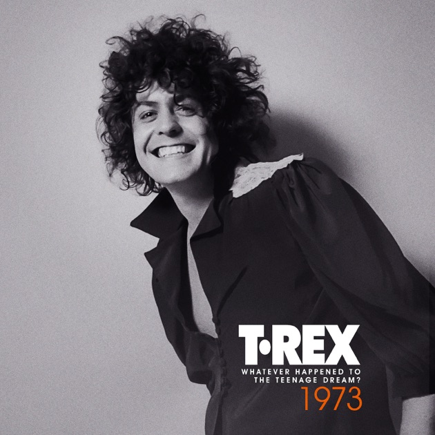 Get It On: The Collection - T. Rexのアルバム - Apple Music