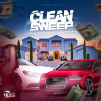 CLEAN SWEEP (feat. sanity Dsane1) - Single - fyah blaze upstream