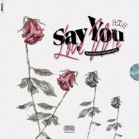 Say You Love Me (feat. Daydrnkrz) - Single - Hiding In Headstones