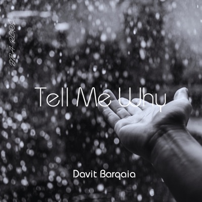 Song - Tell Me Why - Davit Barqaia