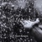 Tell Me Why - Davit Barqaia lyrics
