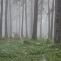 Deathly Hollows - Single - Vegas Cy!