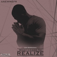 What I Came to Realize (LoFi Experience) - Anewmefr