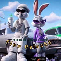 Flow Peluche - Single - Zordom rd