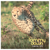 Taking Off - Tommy Down