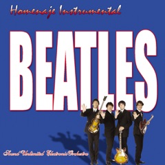 Homenaje Instrumental a Los Beatles