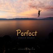 Perfect (Cover Song)