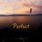 Perfect (Cover Song) artwork