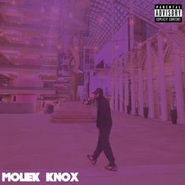 Chasing This Chicken (feat. TwinDaGod) Moliek Knox