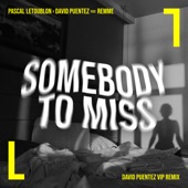 Somebody to Miss (feat. remme) [David Puentez VIP Remix] artwork