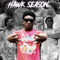 Hawk Season - Fs Qua