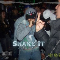 Shake It - Single - NFS Young Blunt