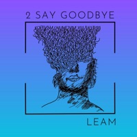 2 SAY GOODBYE - Single - LEAM