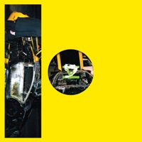 Nailed to the Net - EP - Phase Fatale