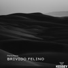 Brivido Felino - Single