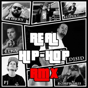 Real Hip-Hop RMX (feat. MC eLKa, Torry, Respekt, Kompromis & pj)