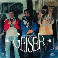 Geiser (feat. SaibøT & Shuga) - Single - Nagu