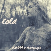 Cold - Single - Rob999 & Mortymp3