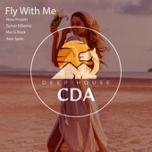 Fly With Me (Tamer ElDerini Remix) artwork