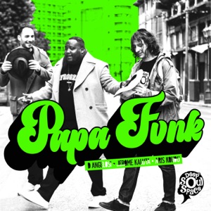 Papa Funk - Single