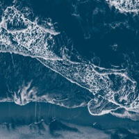 Rolling Waves (Part I) [feat. Palle Mikkelborg] - Single - Blood Sweat Drum + Bass & Randers Chamber Orchestra