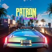 patron goes to miami artwork