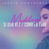 Medley Si Una Vez / Como La Flor artwork