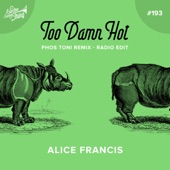 Too Damn Hot (Phos Toni Remix - Radio Edit) artwork