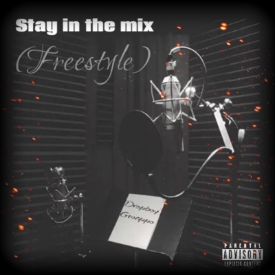 Stay in the mix (Freestyle) - Single