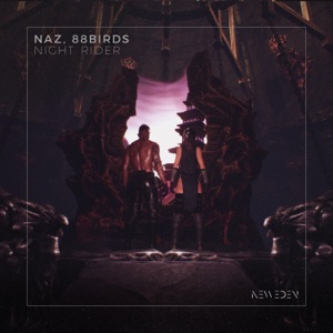 Night Rider - Single