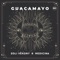 Guacamayo - Zoli Vekony & Medicina lyrics