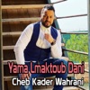 Yama Lmaktoub dani - Single