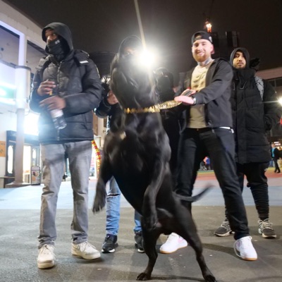 Flashing Lights (Remix) - Single