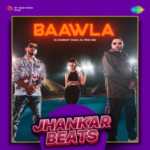 Baawla (Jhankar Beats)