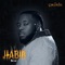Japa (feat. Tswaglee) artwork