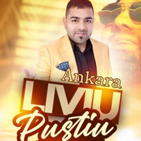Ankara - Single - Liviu Pustiu