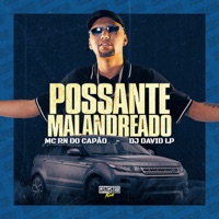 Possante Malandreado - Single - MC RN DO CAPÃO & DJ David LP