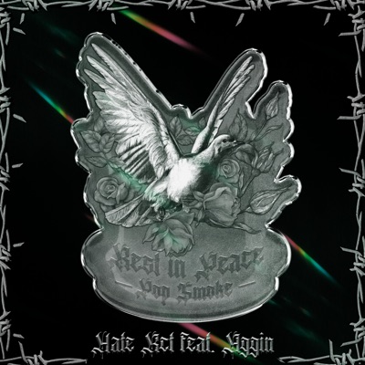 Rest In Peace Pop Smoke (feat. Aggin) - Single