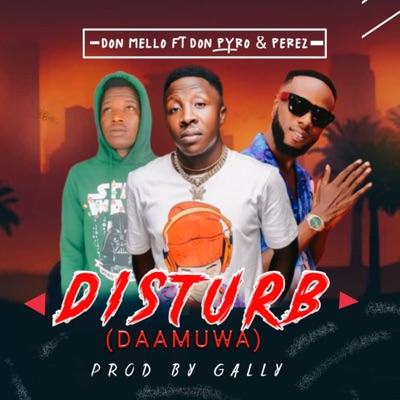 Daamuwa We dey disturb (feat. Don Pyro & perez Myeye) - Single