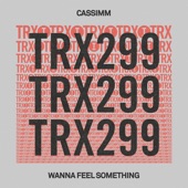 Wanna Feel Something (Extended Mix) artwork