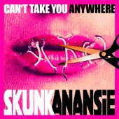 Can't Take You Anywhere artwork